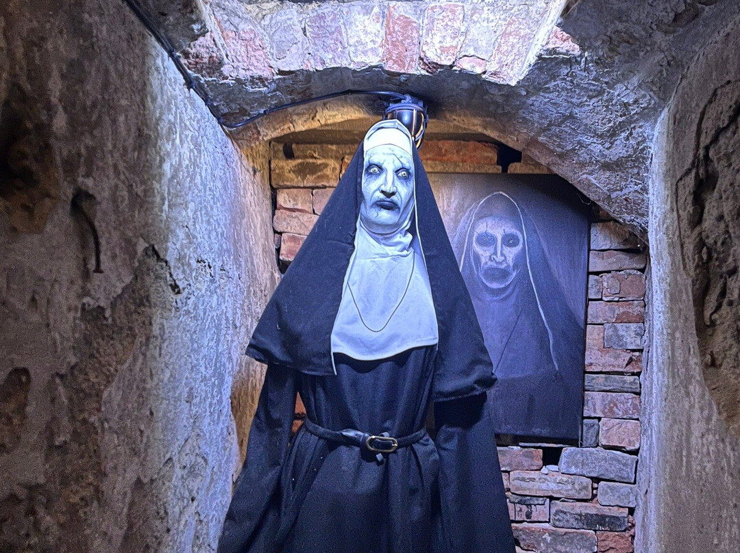 The Museum Of Curiosities-诺丁汉必去景点