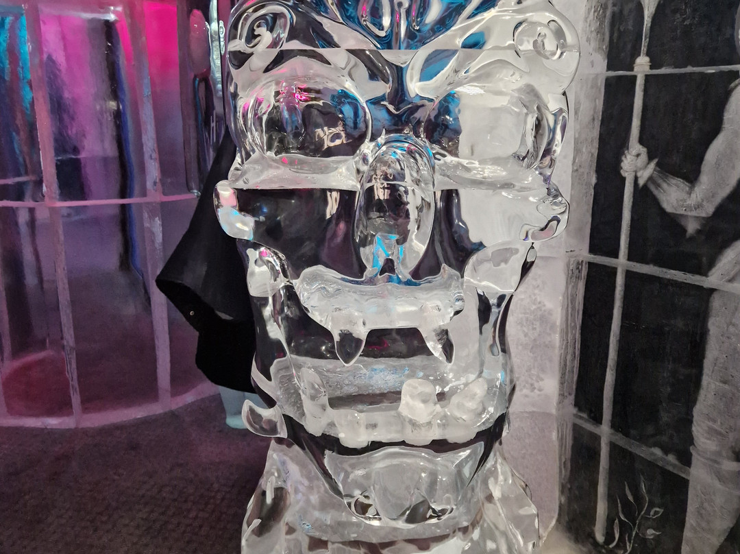 Magic Ice-雷克雅未克必去景点