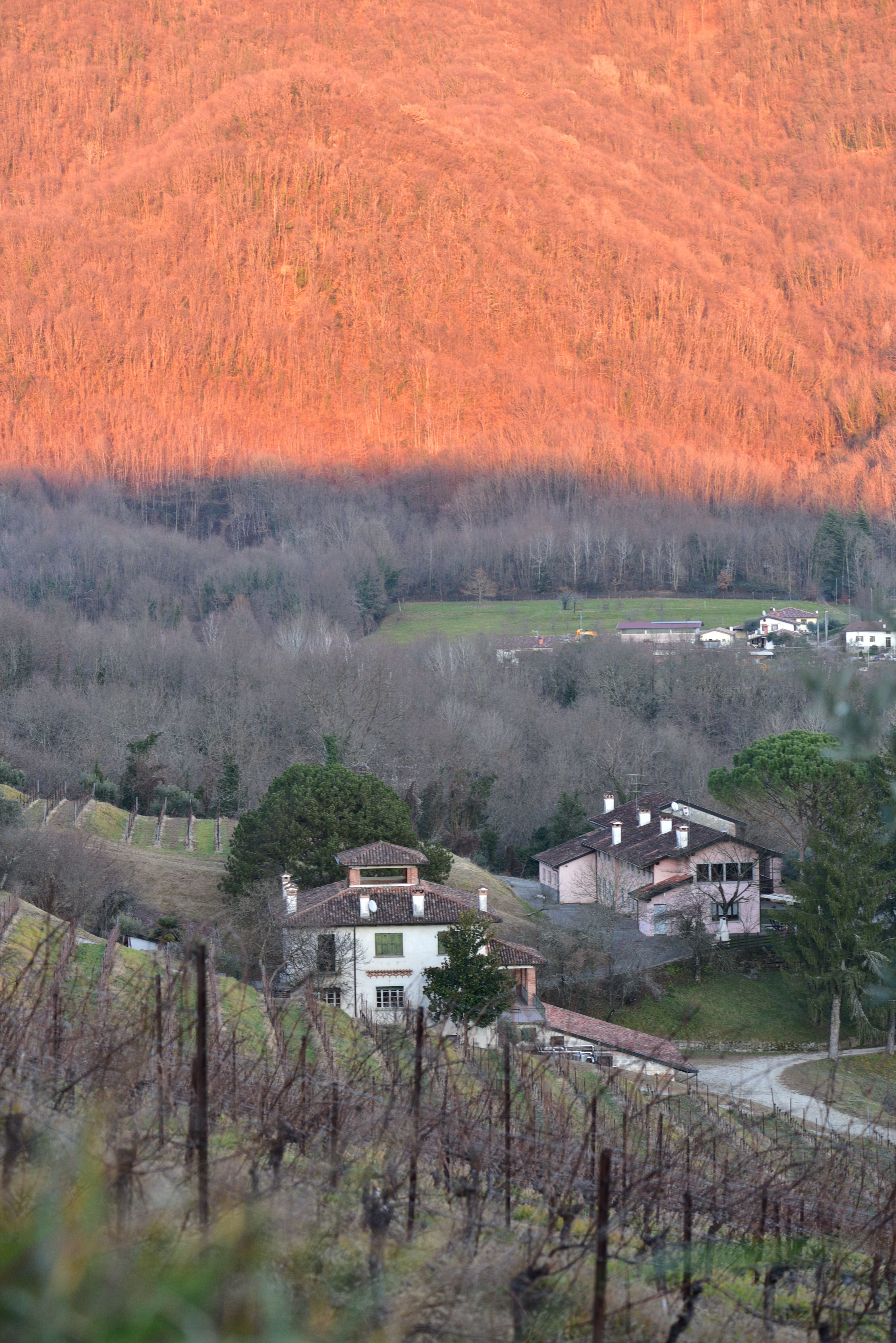 Tenuta Valdomini-浴室