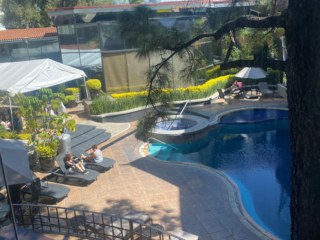 Krystal Satelite Maria Barbara主图