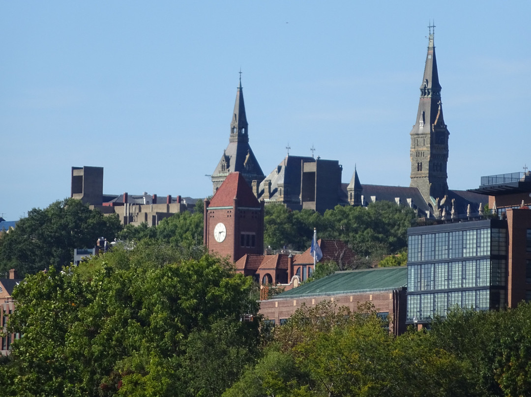 Potomac Water Taxi | City Cruises-亚历山德里亚必去景点