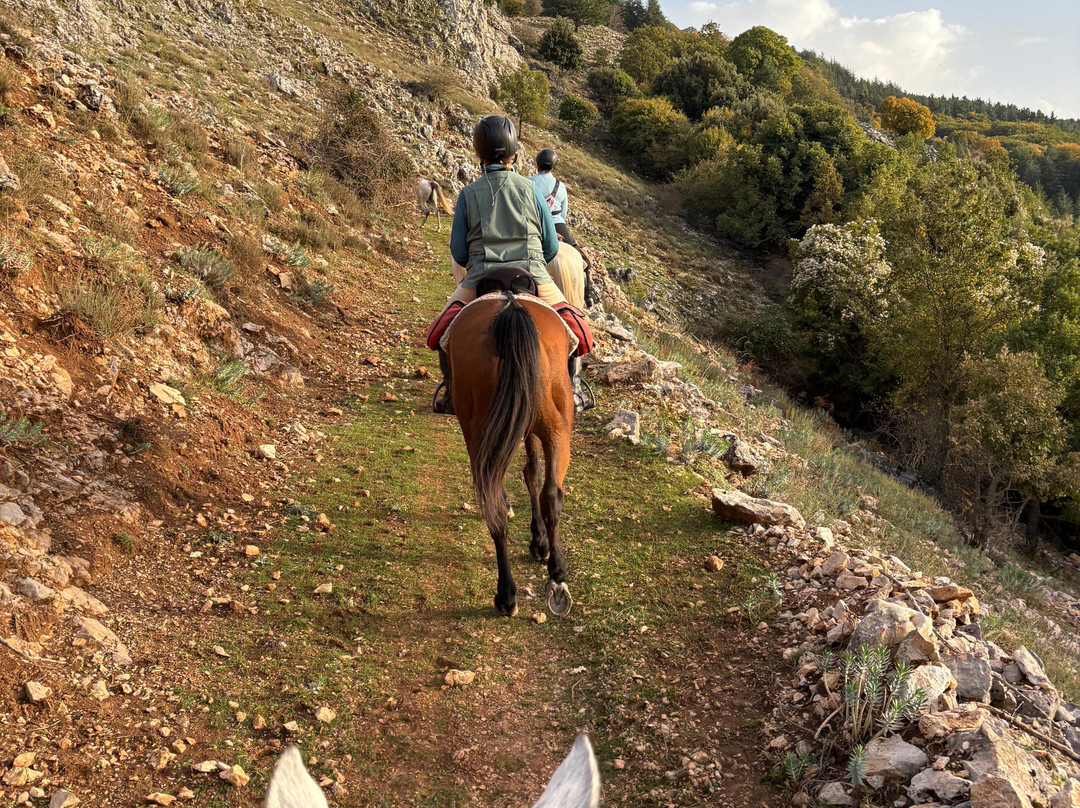 Ride Sicily-切法卢必去景点