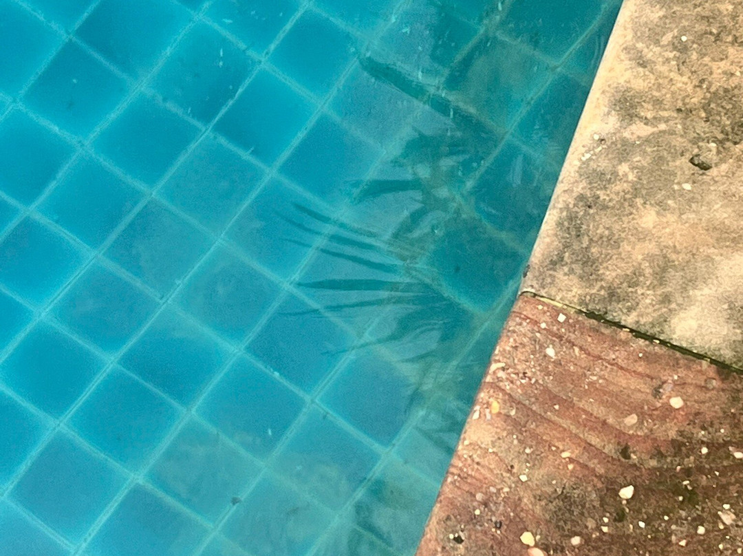 索克萨贝度假村主图