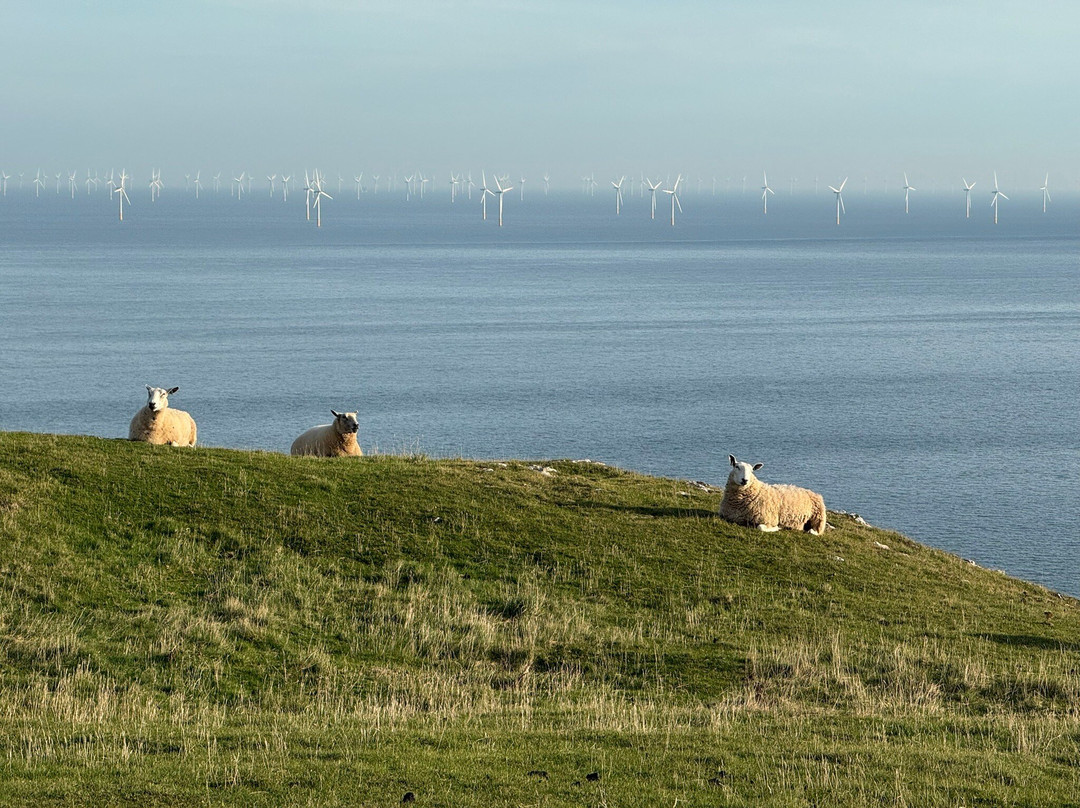 Angel Bay-Penrhyn Bay必去景点