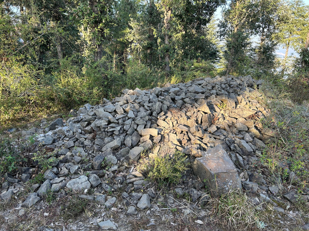 Ekant Guest House主图