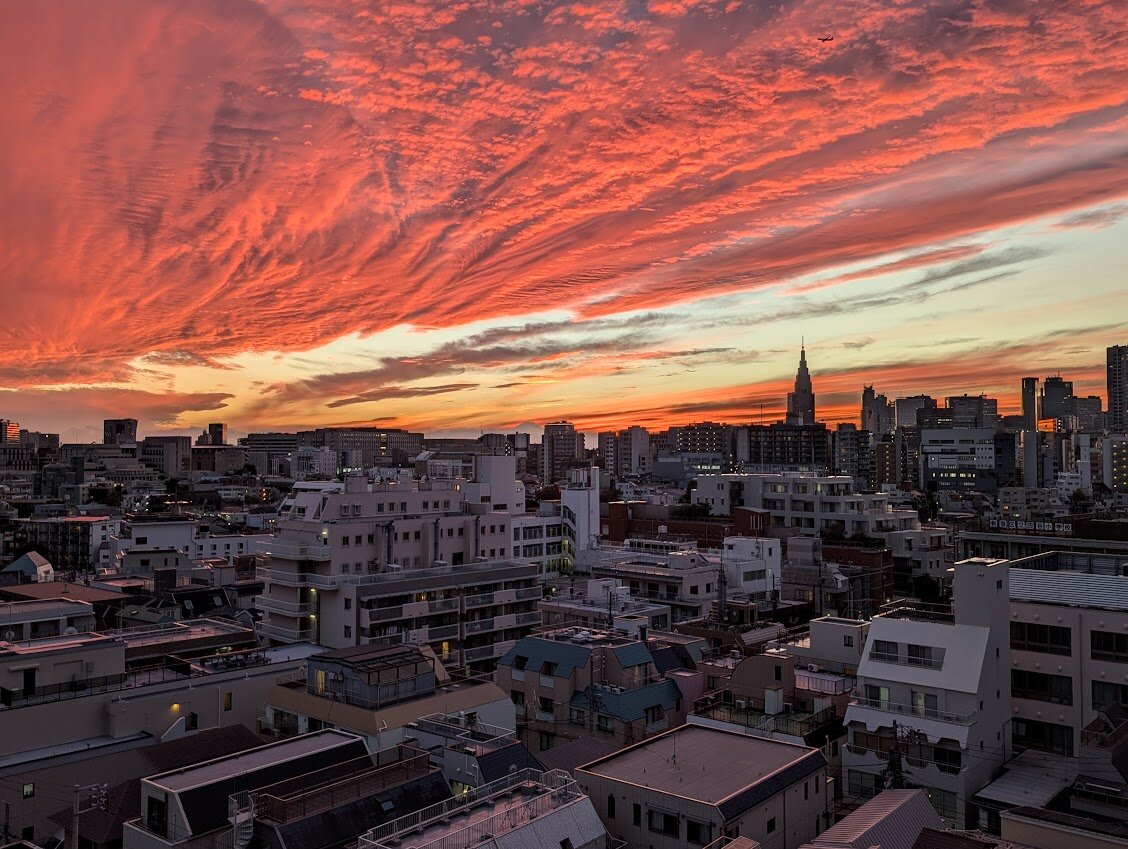 四谷东急酒店-官方