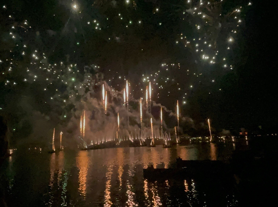 Luminous: The Symphony of Us-Bay Lake必去景点