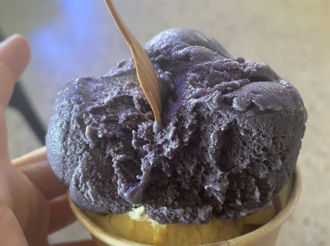 Lavender Estate | Yanchep, Western Australia-Carabooda必去景点