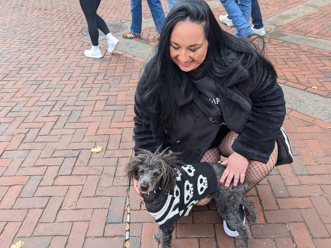 Salem Art Gallery-塞勒姆必去景点