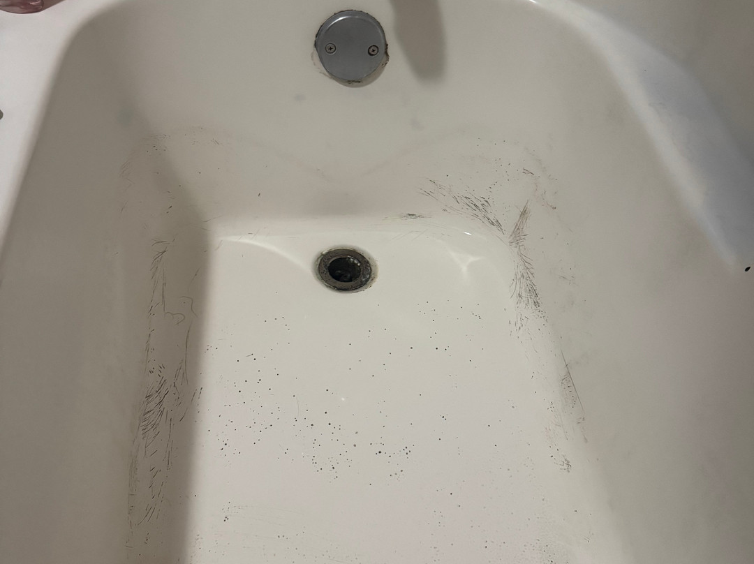 La Quinta Inn & Suites by Wyndham Frankfort主图