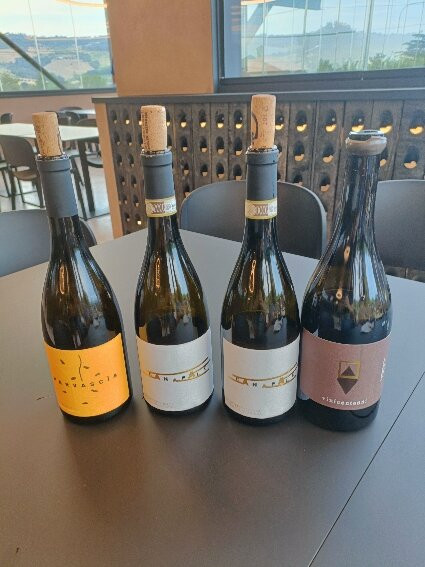 Cantina Centianni-Montefiore dell'Aso必去景点