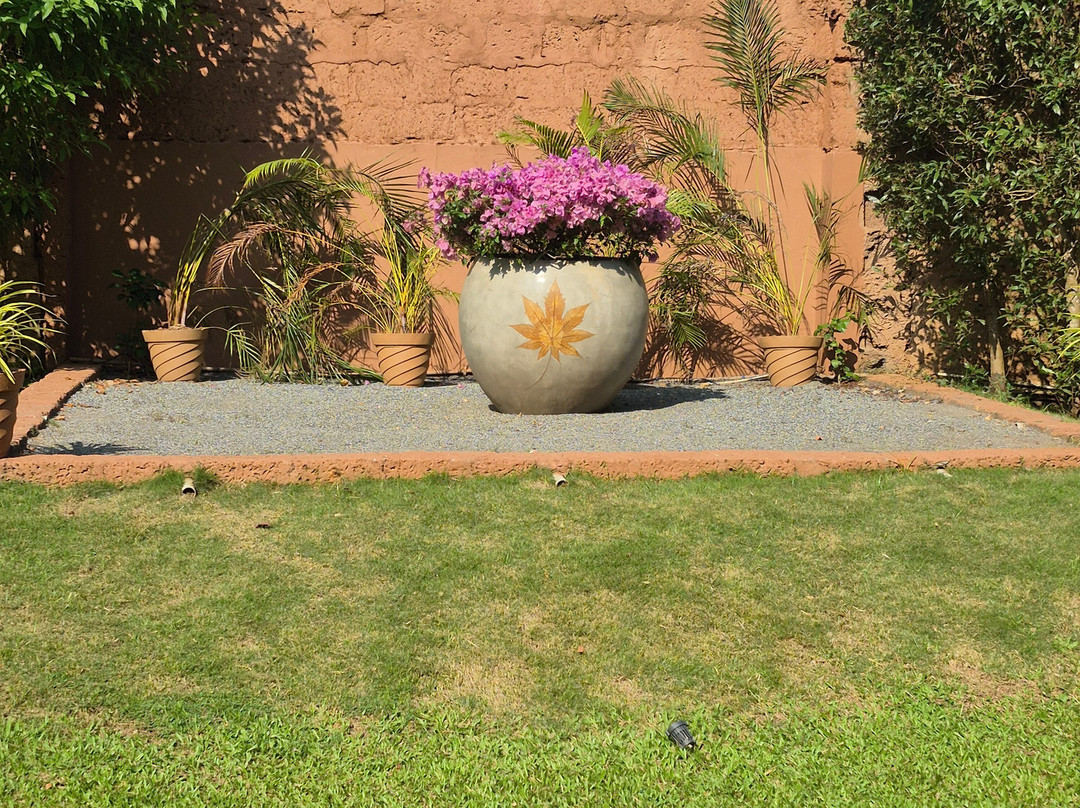 Regenta Jungle Resort Kabini Springs主图