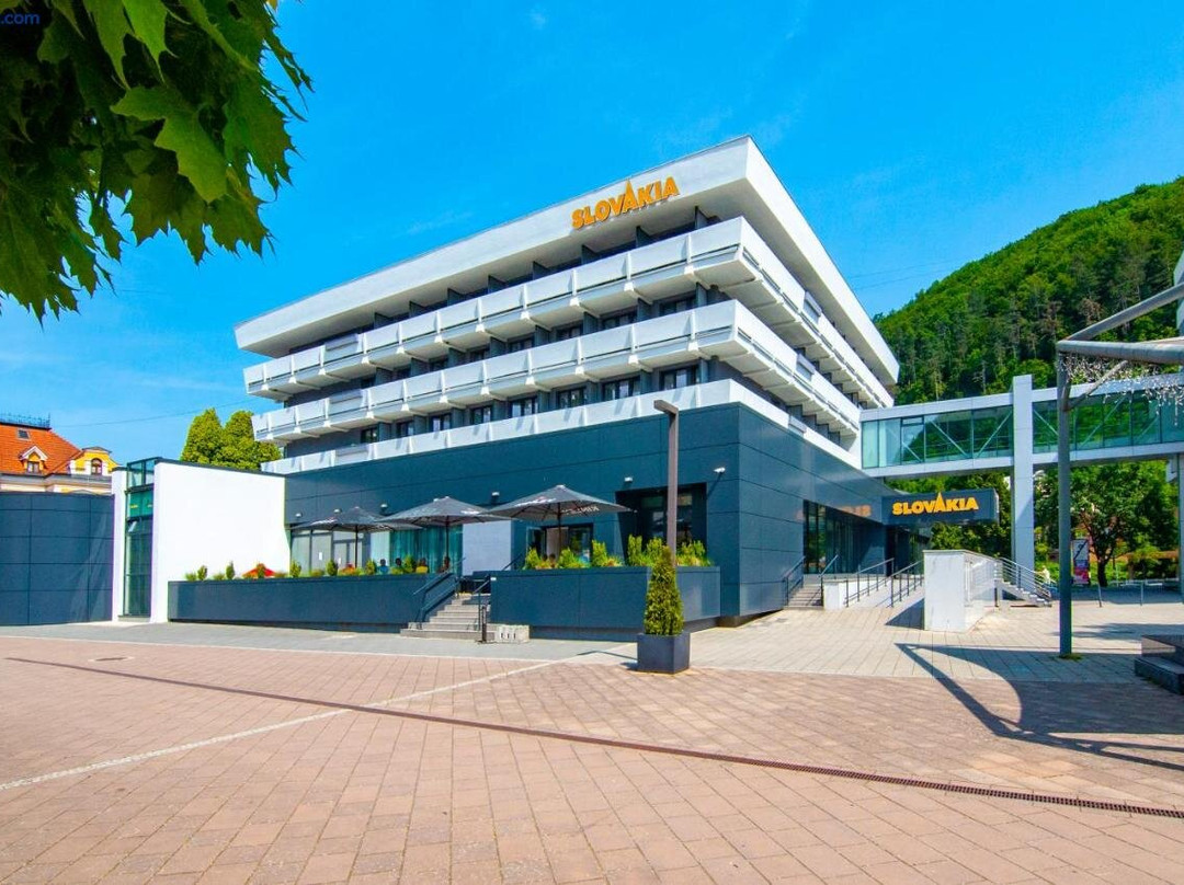 Turcianske Teplice酒店住宿-Hotel Slovakia