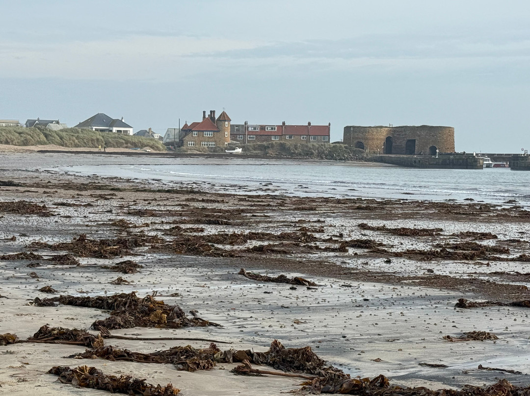 Beadnell Bay Beach-Beadnell必去景点