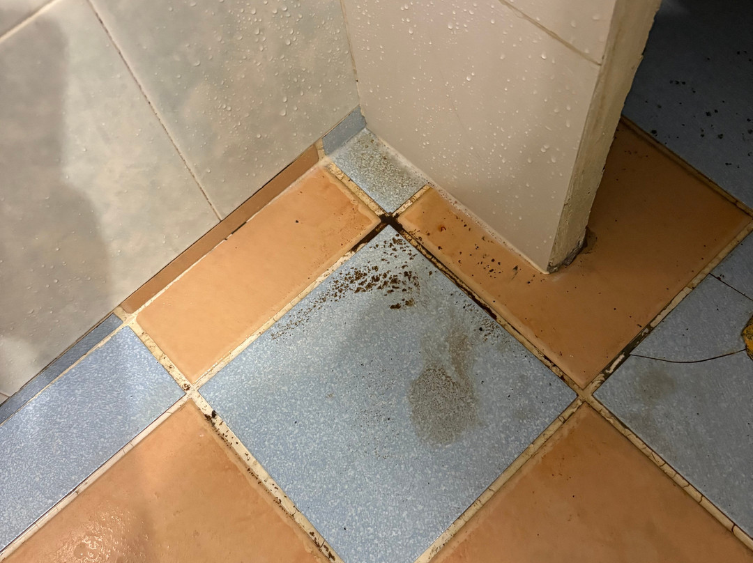 西必洛森林度假村主图