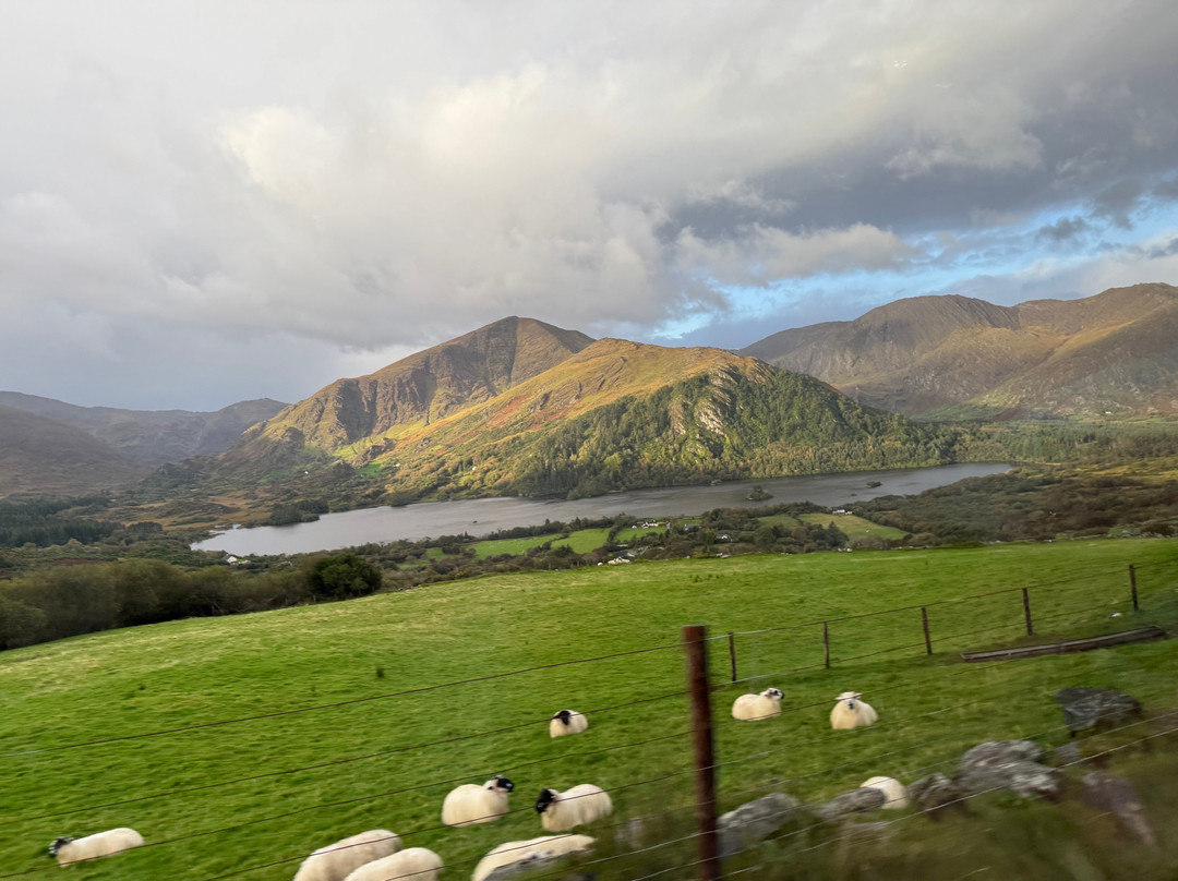 Vagabond Tours-都柏林必去景点