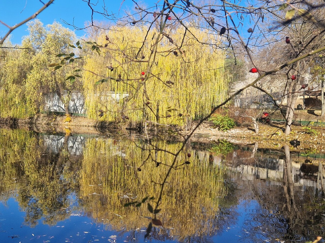 Chisinau Zoo-基希讷乌必去景点