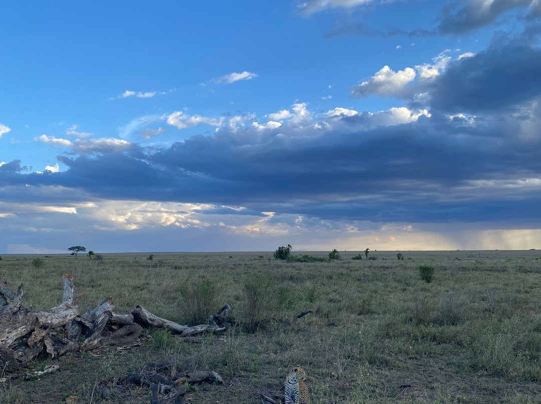 Zara Tanzania Adventures-莫西必去景点