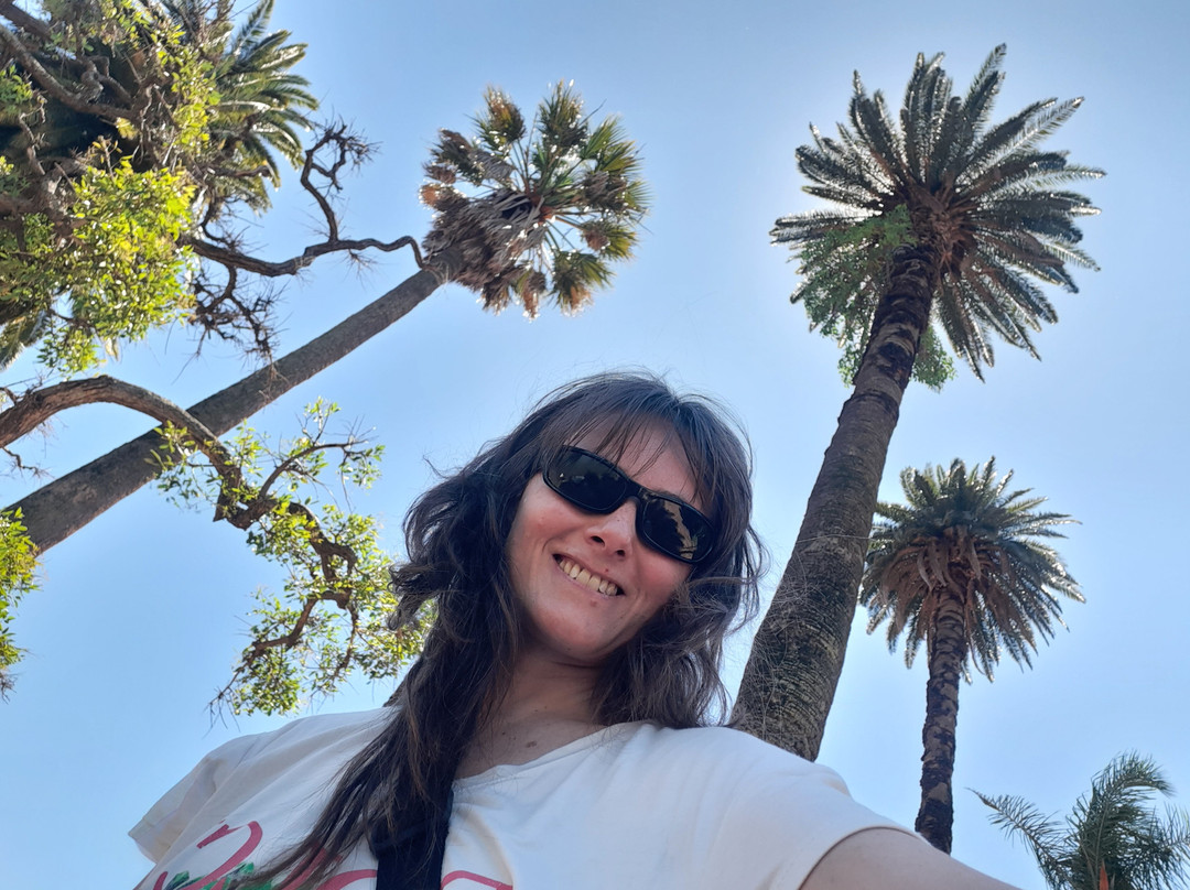 Lagos de Palermo-布宜诺斯艾利斯必去景点