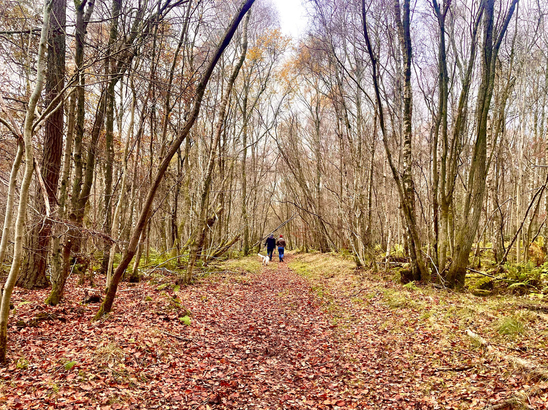 Templeton Woods-敦提必去景点