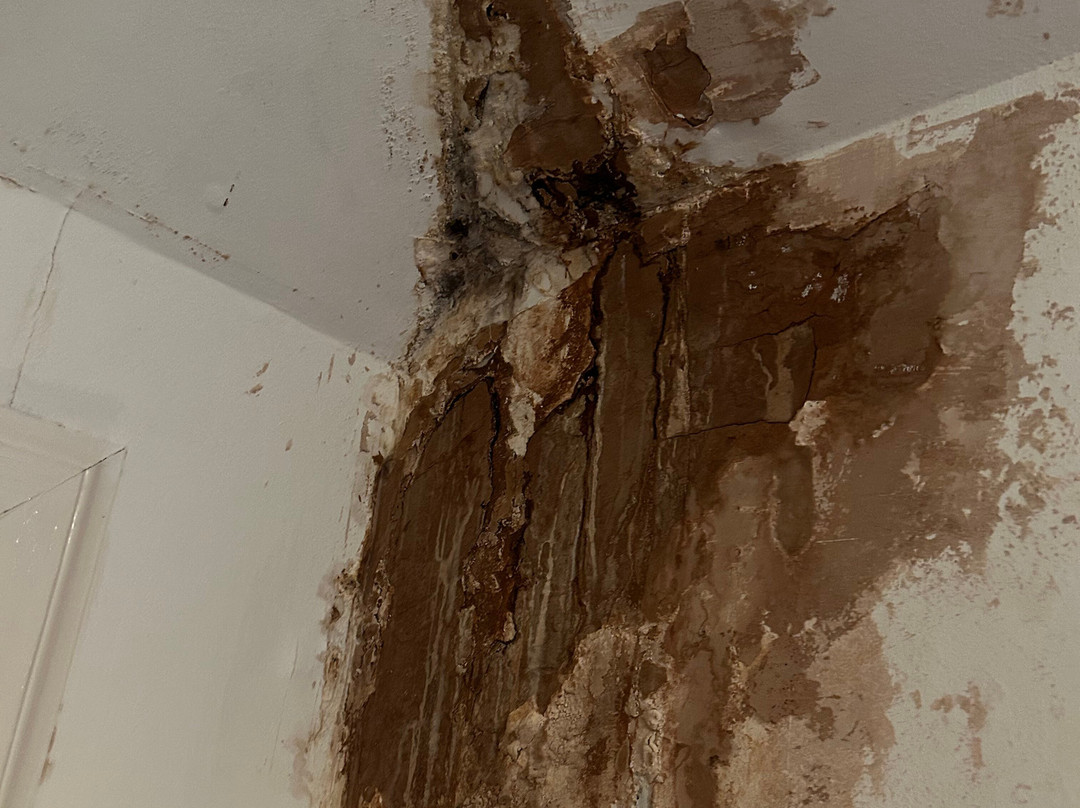 The Grey Gull Hotel主图