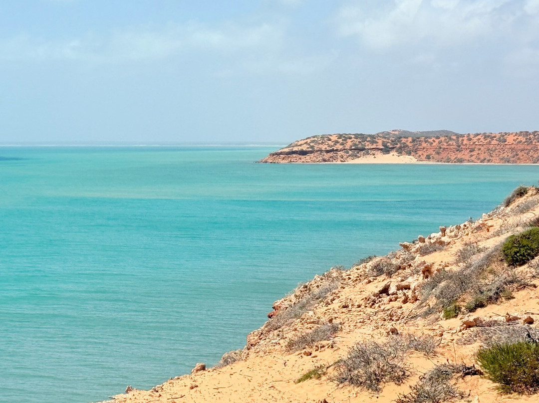 Shark Bay Coastal Tours-德纳姆必去景点