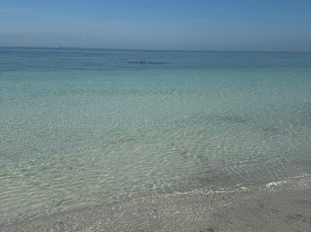 Bean Point-Anna Maria必去景点