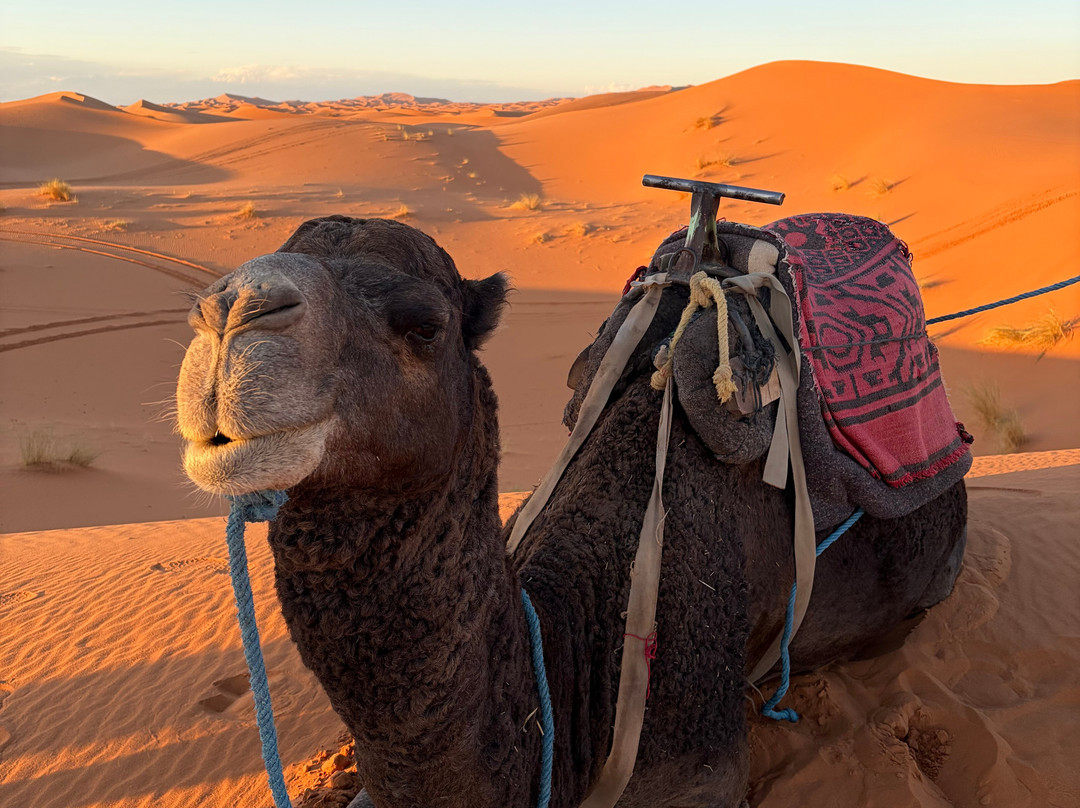 Morocco Easy Tours - Morocco Tours-马拉喀什必去景点