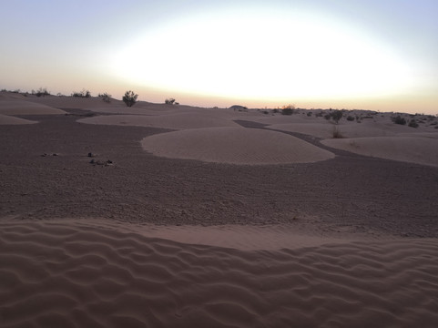 Israa Travel Agency-米栋必去景点