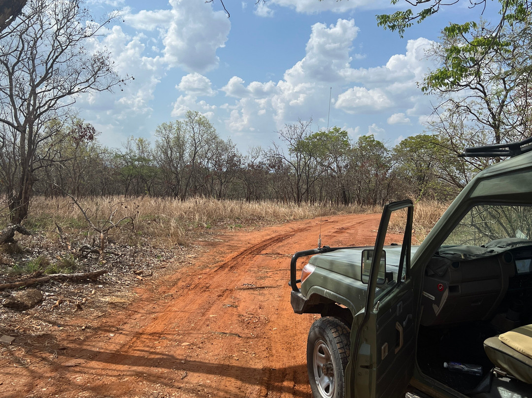 Passionate Safaris-Dar es Salaam必去景点