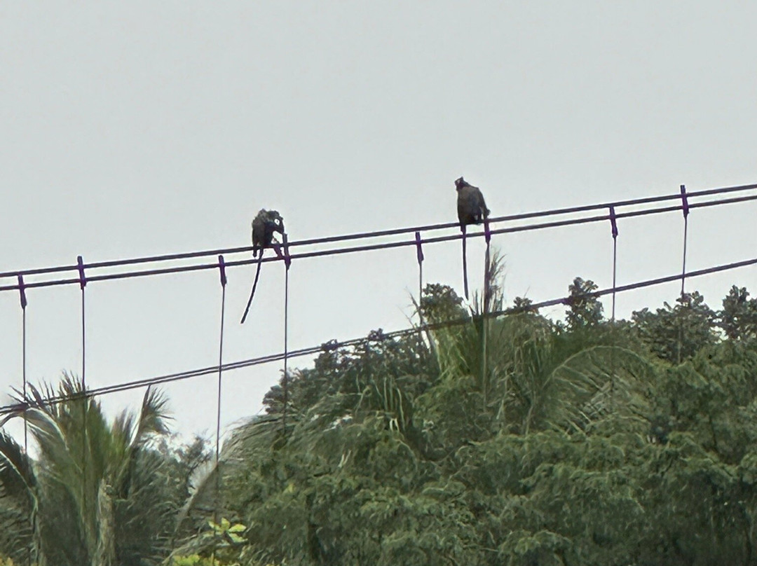 Padang Private Driver-巴东必去景点