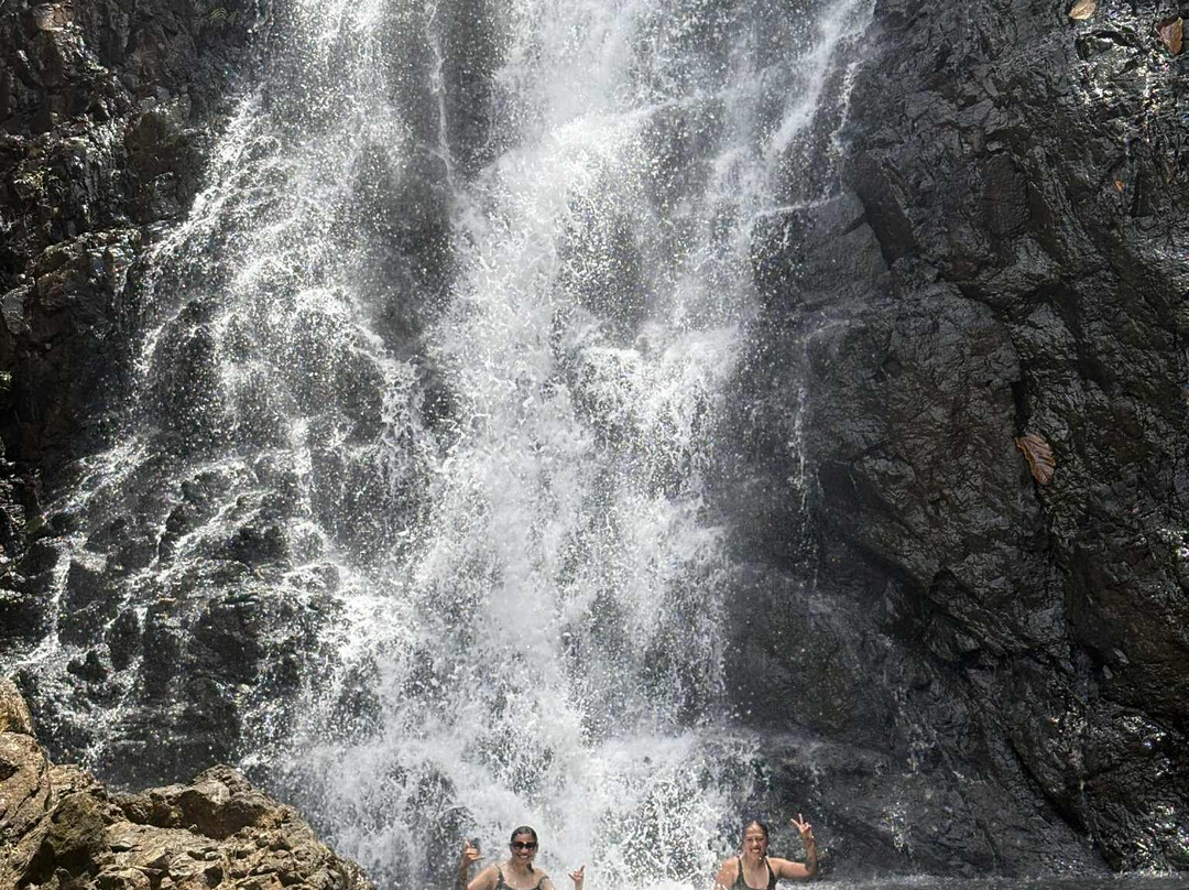 Terra Trek Tours-太平洋港必去景点
