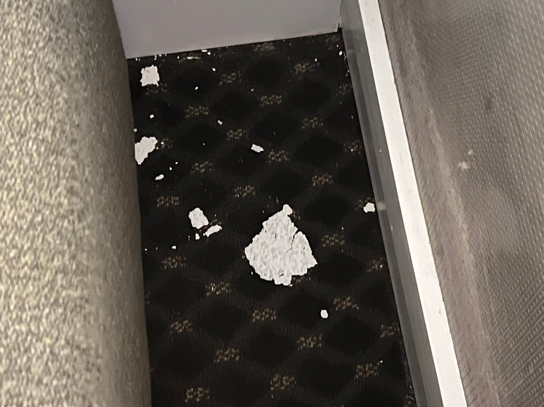 Brandywine River Hotel主图