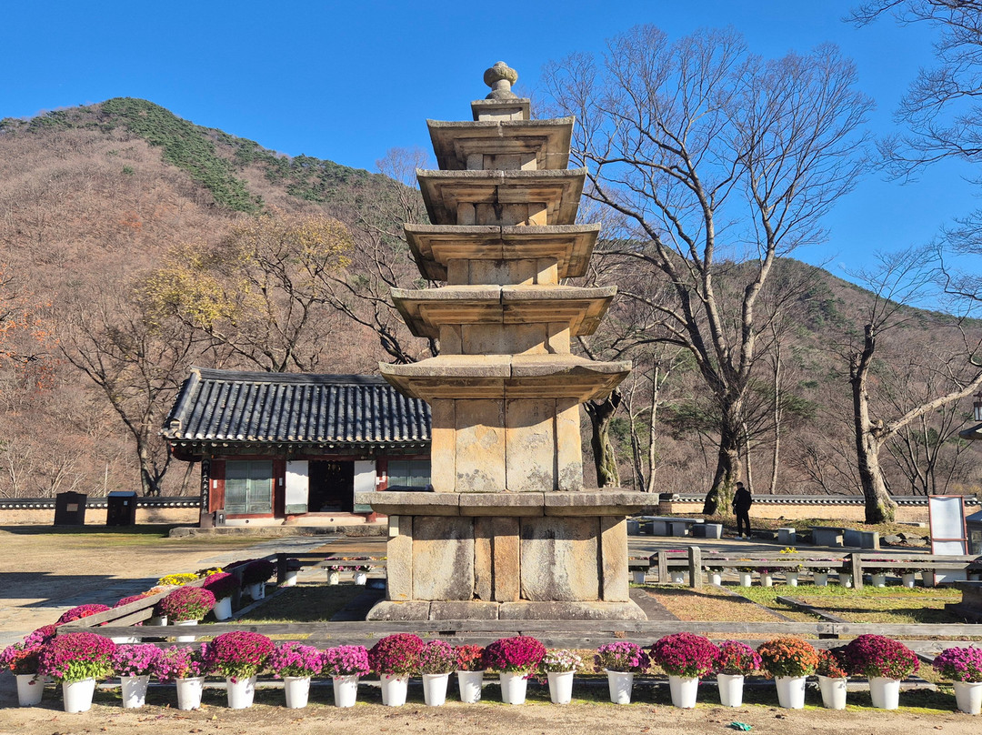 Muryangsa-扶余郡必去景点