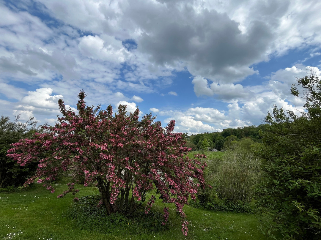 Jardin Botanique Jean-Marie Pelt-Villers-les-Nancy必去景点