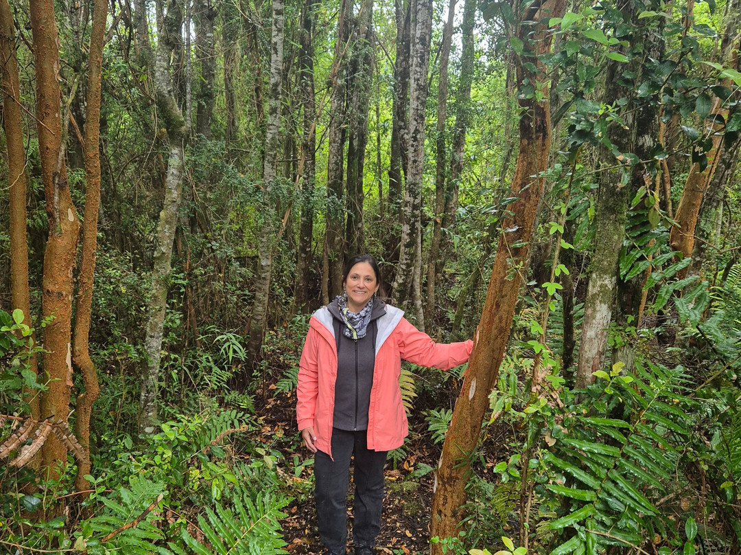 Hotel & Cava Estancia Rilán By Elohi Collection主图