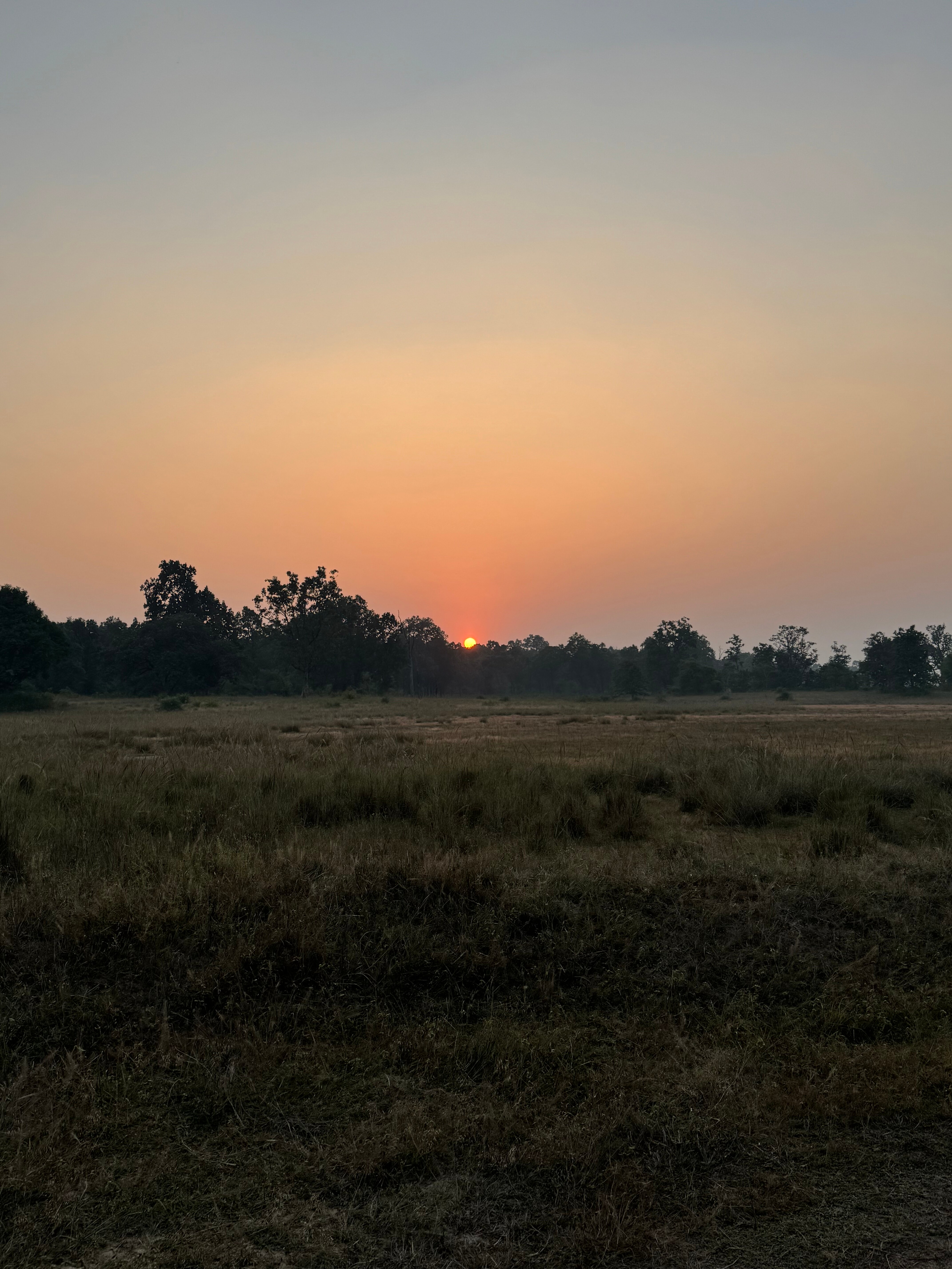 Mahua Kothi, A Taj Safari - Bandhavgarh National Park-官方