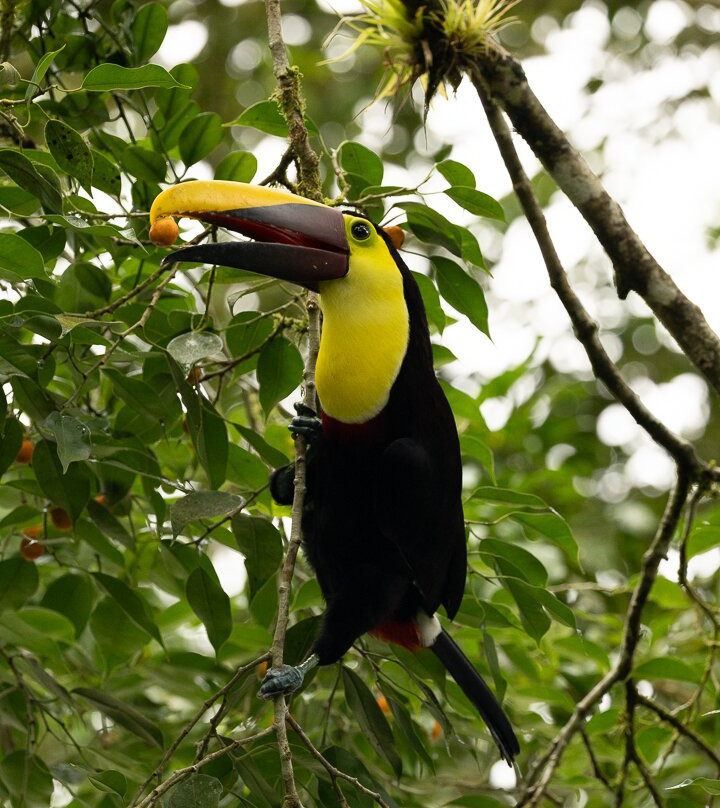 Hotel San Rafael Ecolodge主图