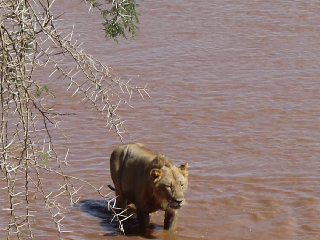 Watamu Diego Safari Day Tours-瓦塔木必去景点