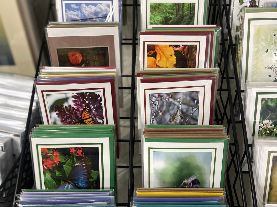 Artists At Work-Elkins必去景点