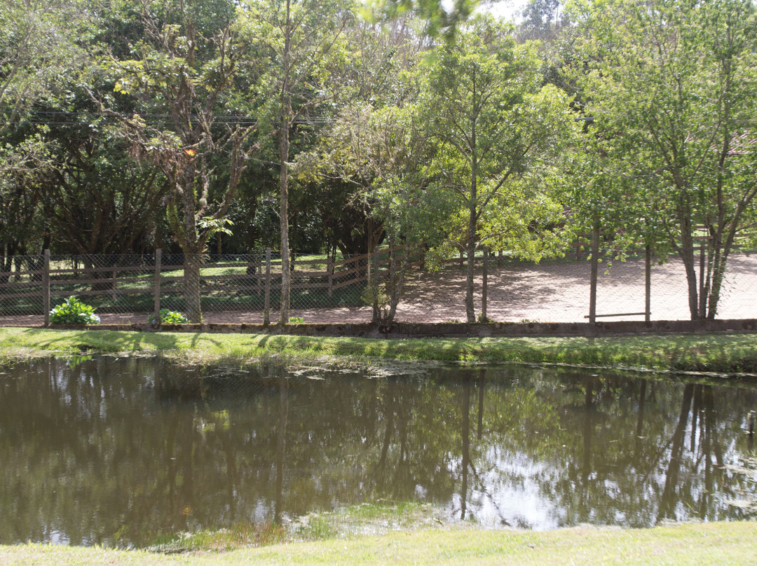 Pousada Vida Verde主图