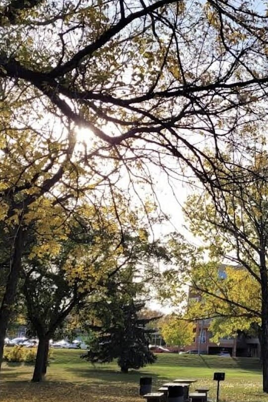 Kiwanis Waterfall Park-里贾纳必去景点