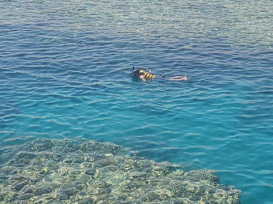 Blue Sea Dive Club-沙姆沙伊赫必去景点