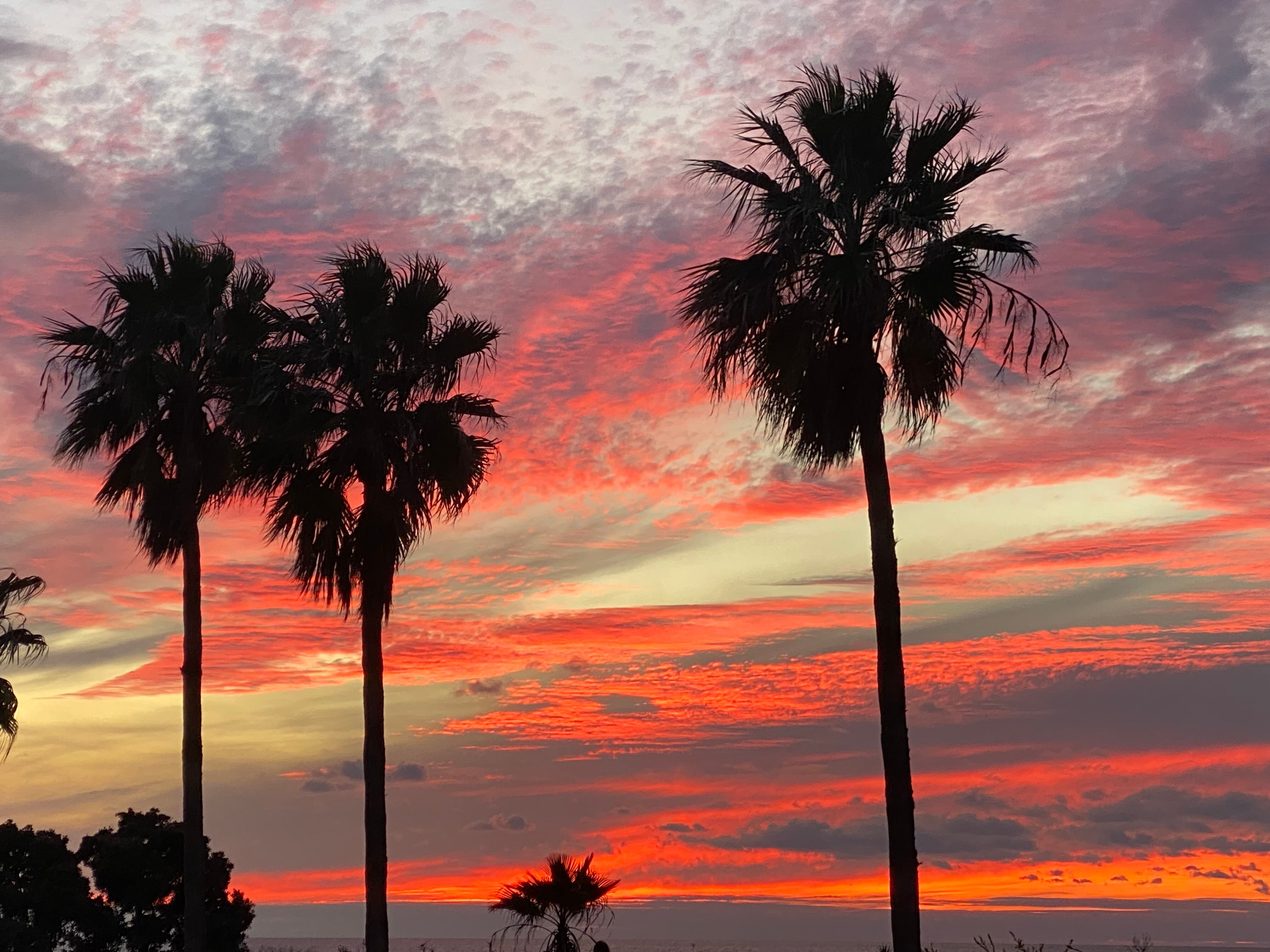 光之海滩酒店-官方