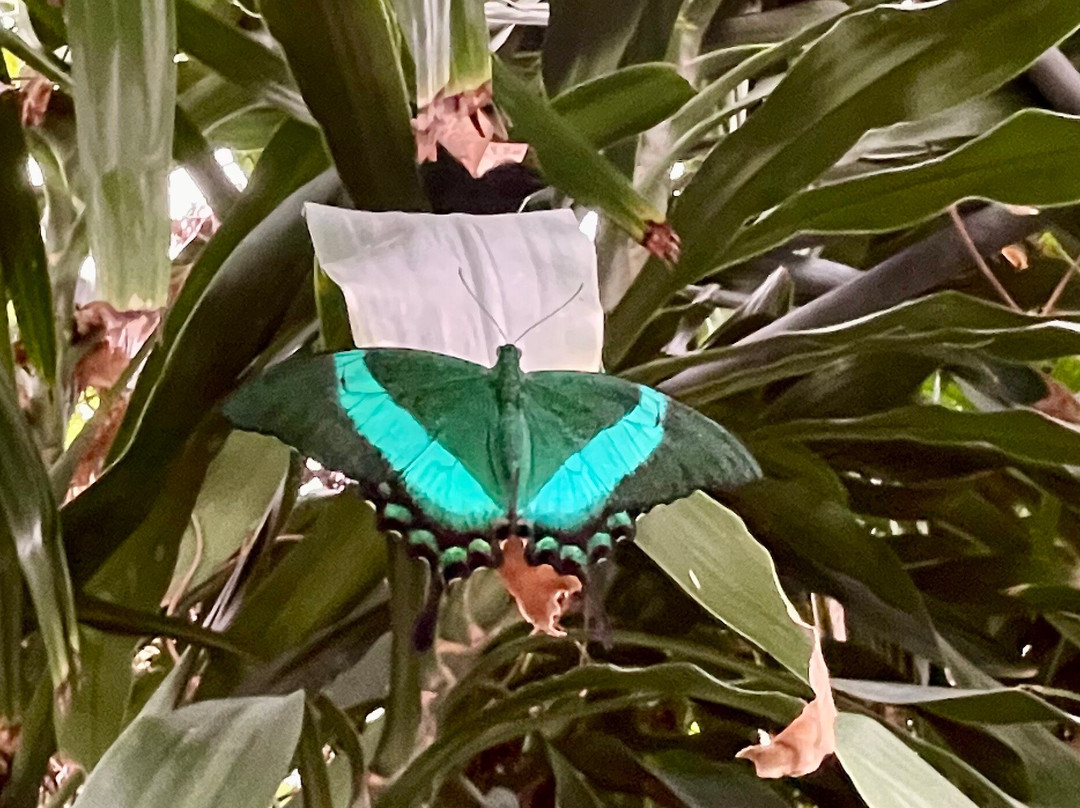 Tropical World-利兹必去景点