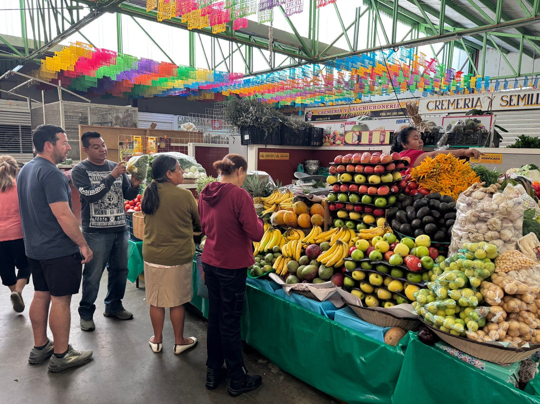 Shenic Tours-瓦哈卡必去景点
