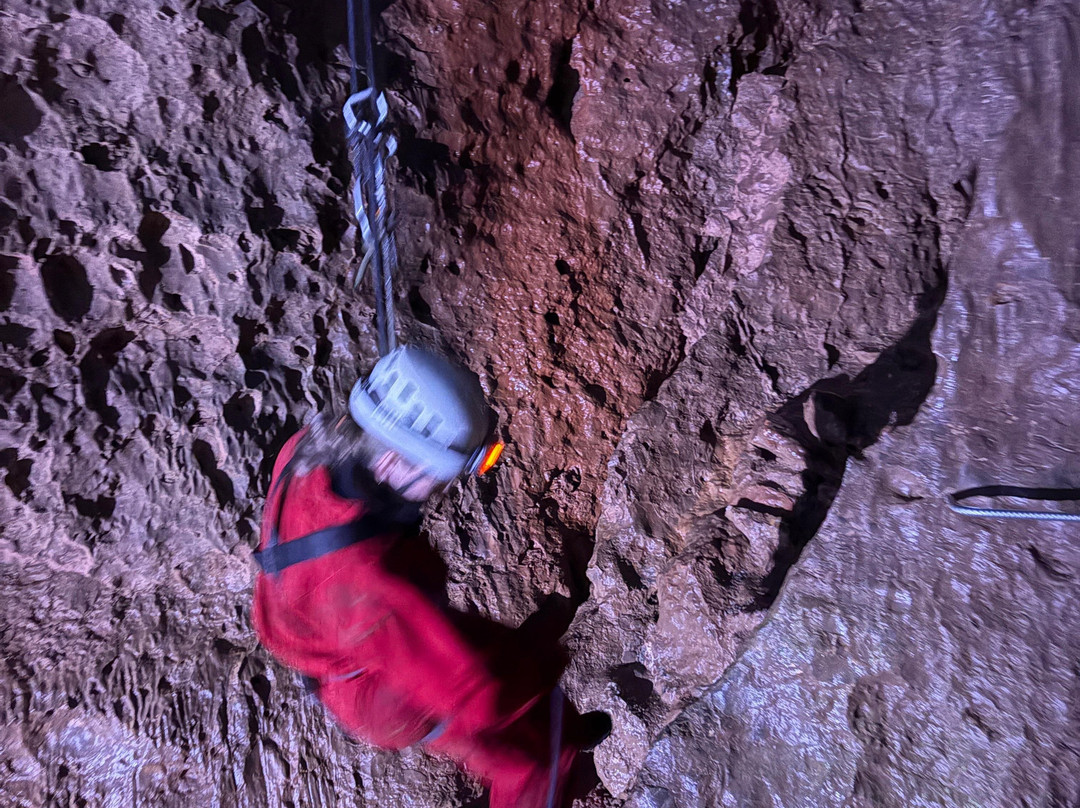 Wild Wookey-韦尔斯必去景点