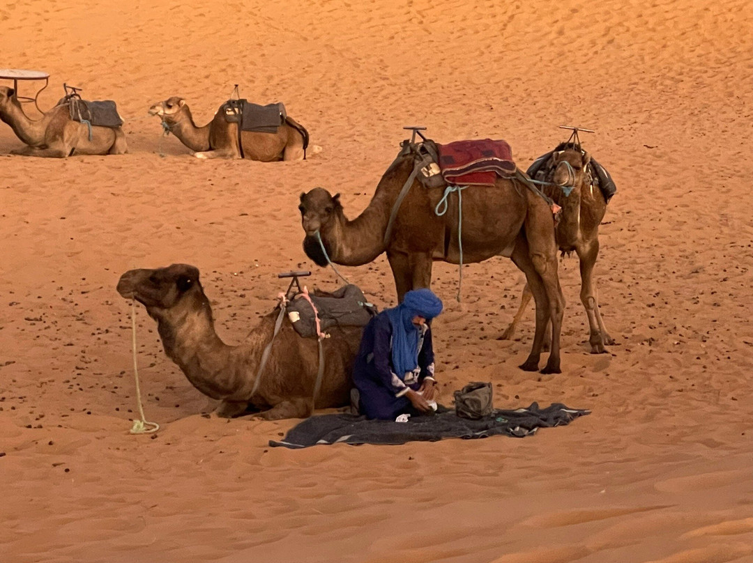 1001 Tours Morocco-塔拉戈纳必去景点