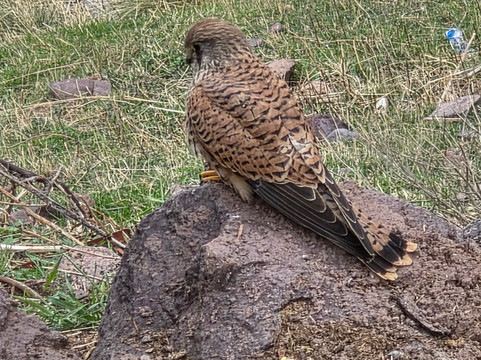 Imlil Trekking-伊姆利勒必去景点