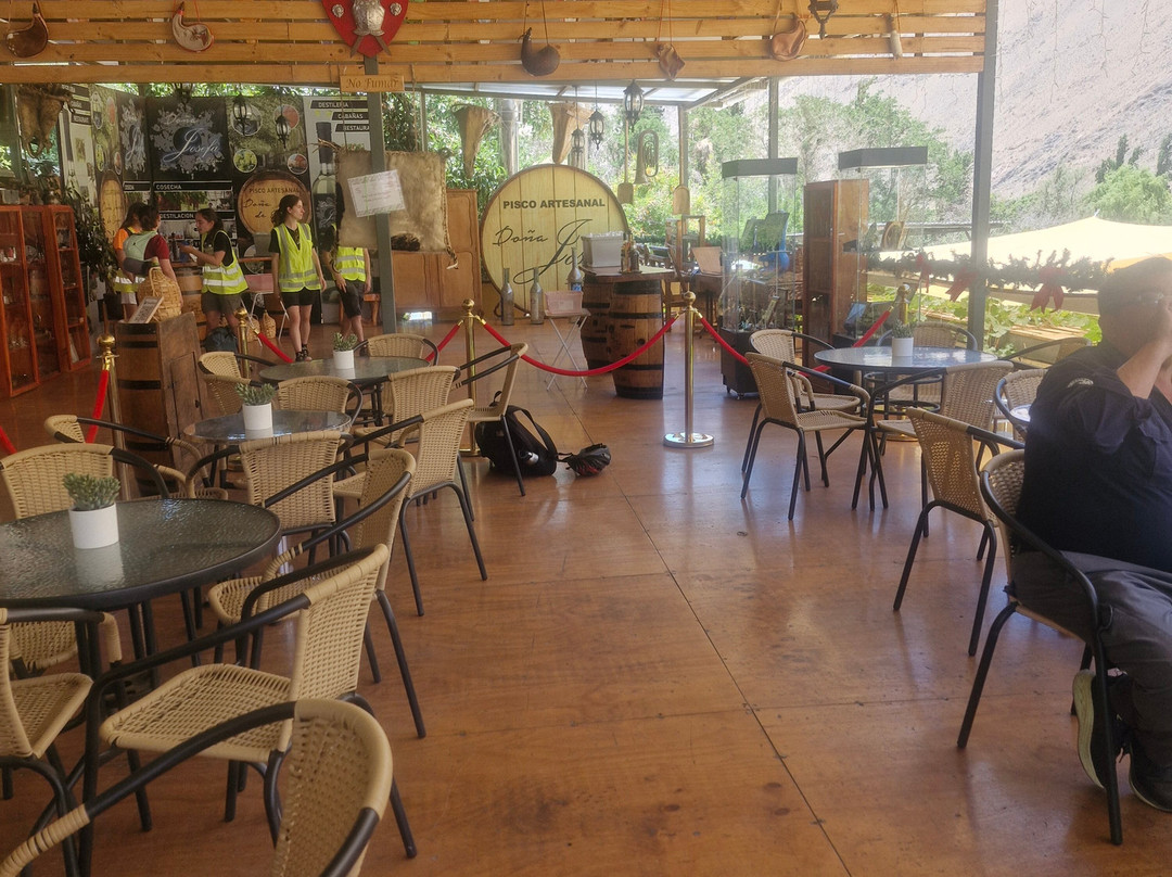 Doña Josefa de Elqui - Pisco Artesanal-Pisco Elqui必去景点